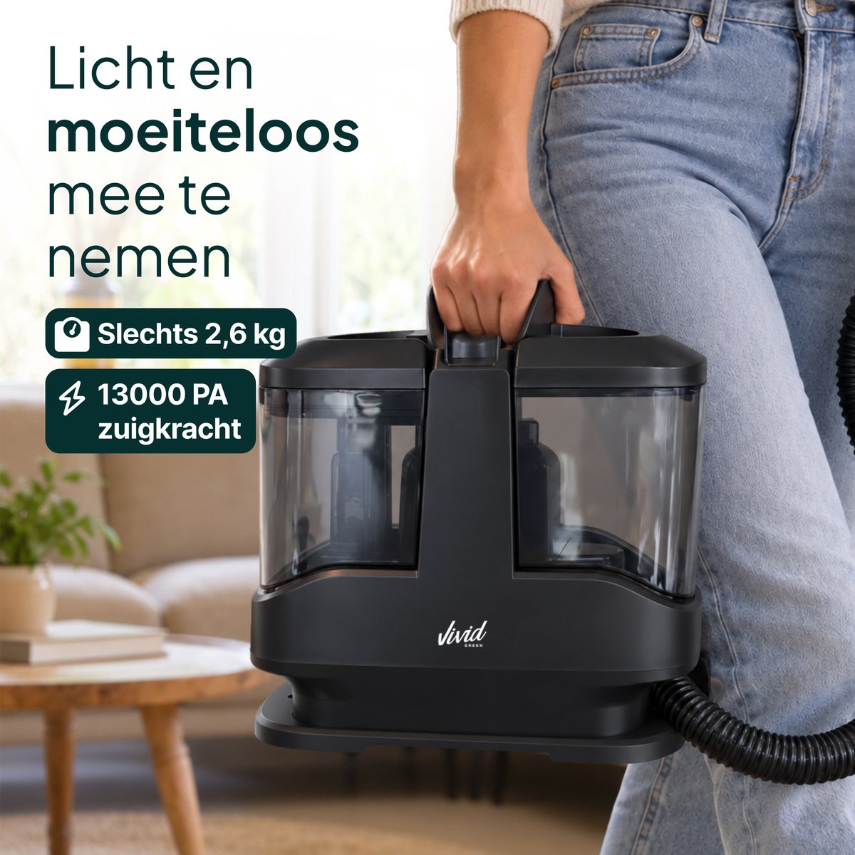Vivid Green Vlekkenreiniger 450W