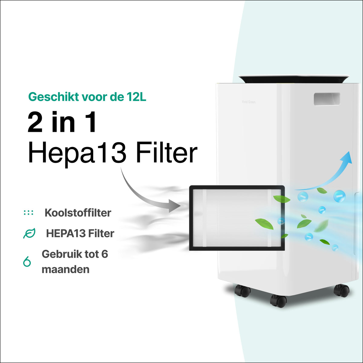 Filtre HEPA Vivid Green 5080